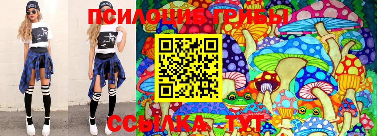 Муравленко  Галлюциногенные грибы Psilocybe  Вход с VPN 